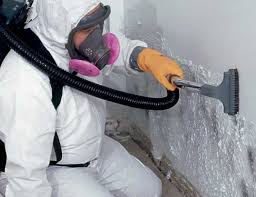 Best Mold Remediation for Healthcare Facilities  in Pahokee, FL